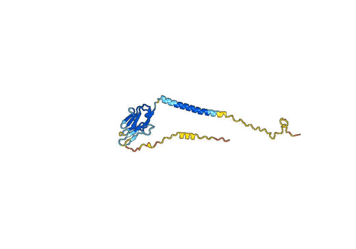 Polatuzumab ELISA Kit