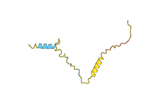 POMC, N-His, recombinant protein