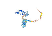 Ponsegromab Biosimilar - Anti-GDF15 mAb - Research Grade
