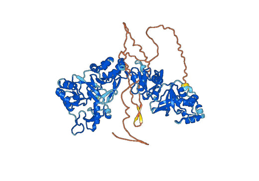 POSTN (Asn22-Gln836), N-His, recombinant protein