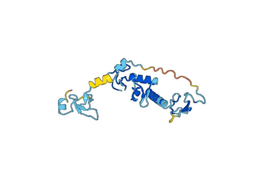 PRKN, N-His, recombinant protein
