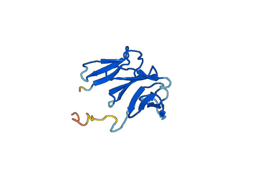 Pro-epidermal growth factor(EGF)