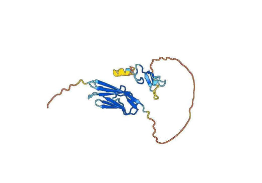 Pro-neuregulin-1, membrane-bound isoform(NRG1)