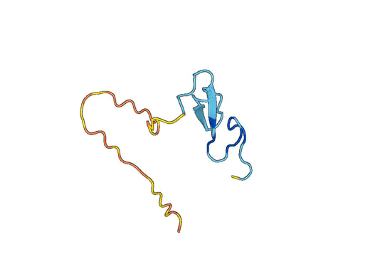 Probetacellulin(BTC)