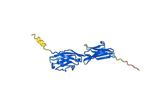 Programmed cell death 1 ligand 1(Cd274)