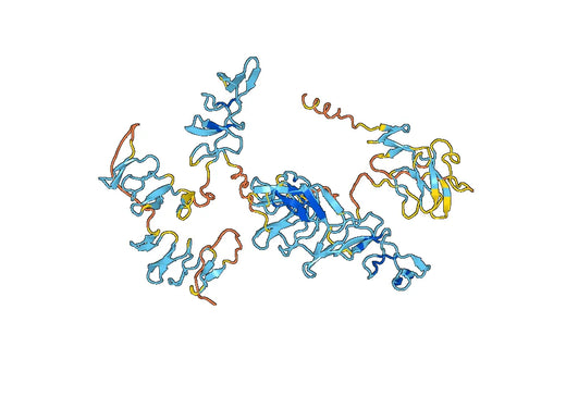 Progranulin(Grn)