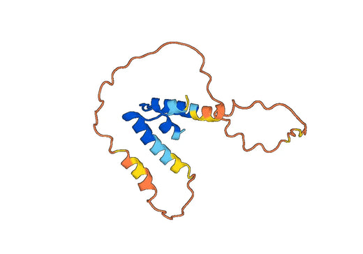 Prorelaxin H2(RLN2)