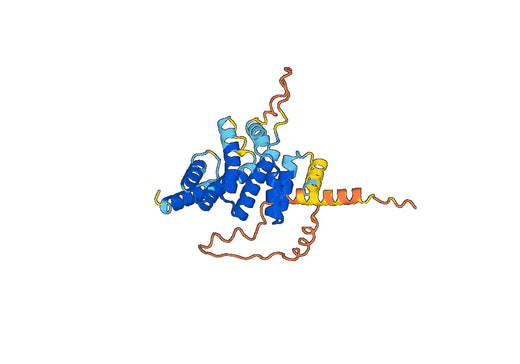 Protein NPGR2(NPGR2)