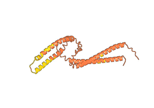 Protein YopD(yopD)