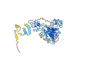 Prothrombin(F2)
