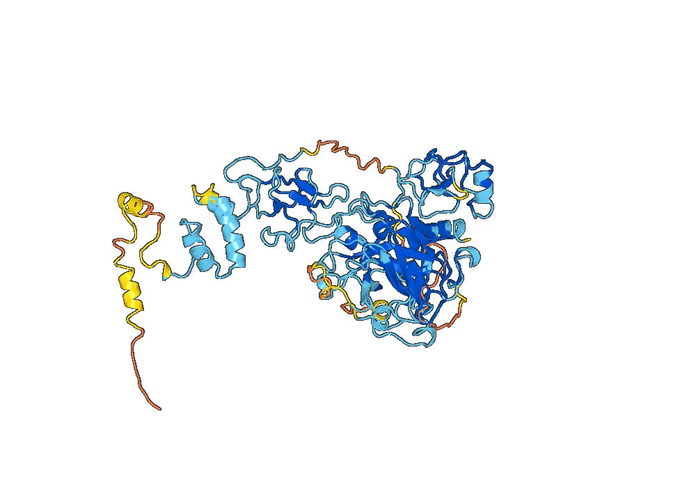Prothrombin(F2)