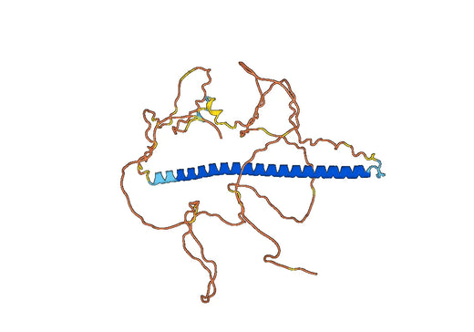 Proto-oncogene c-Fos(FOS)