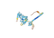 PSMC3, N-His, recombinant protein
