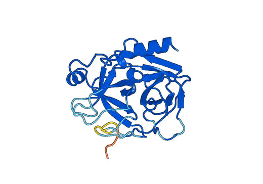 Putative trypsinogen(try)
