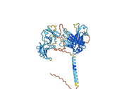 Quilizumab Biosimilar - Anti-IGHE mAb - Research Grade