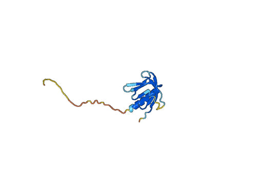 RAC-beta serine, threonine-protein kinase(AKT2)
