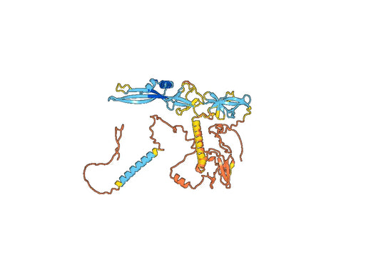 Rafivirumab ELISA Kit
