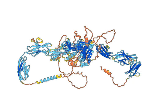 Ramucirumab ELISA Kit
