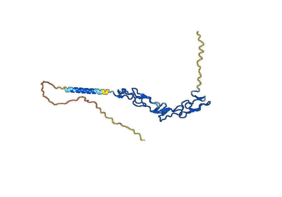 Ravagalimab Biosimilar - Anti-CD40, TNFRSF mAb - Research Grade