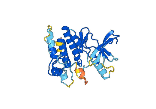 Receptor-interacting serine, threonine-protein kinase 4(RIPK4)