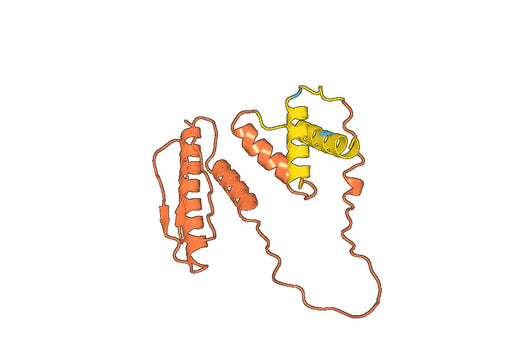 Recombinant ASFV Phosphoprotein p30/Pret-105, N-His