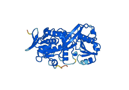 Recombinant Bacillus licheniformis BliGO/thiO Protein, N-GST