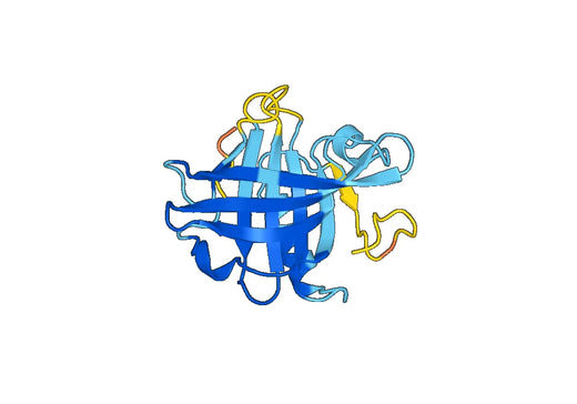 Recombinant Bovine LGB/Beta-lactoglobulin Protein, C-His
