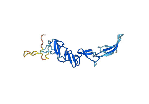 Recombinant BVDV E2 glycoprotein Protein, N-His