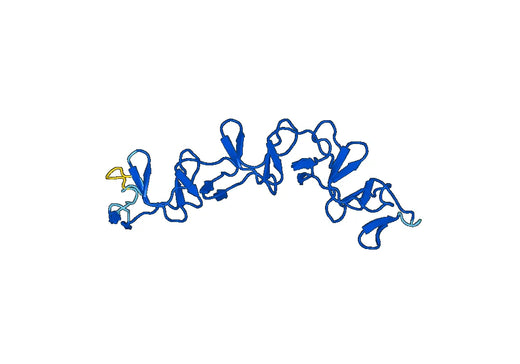 Recombinant Clostridioides difficile Toxin B/tcdB, N-His & N-SUMO