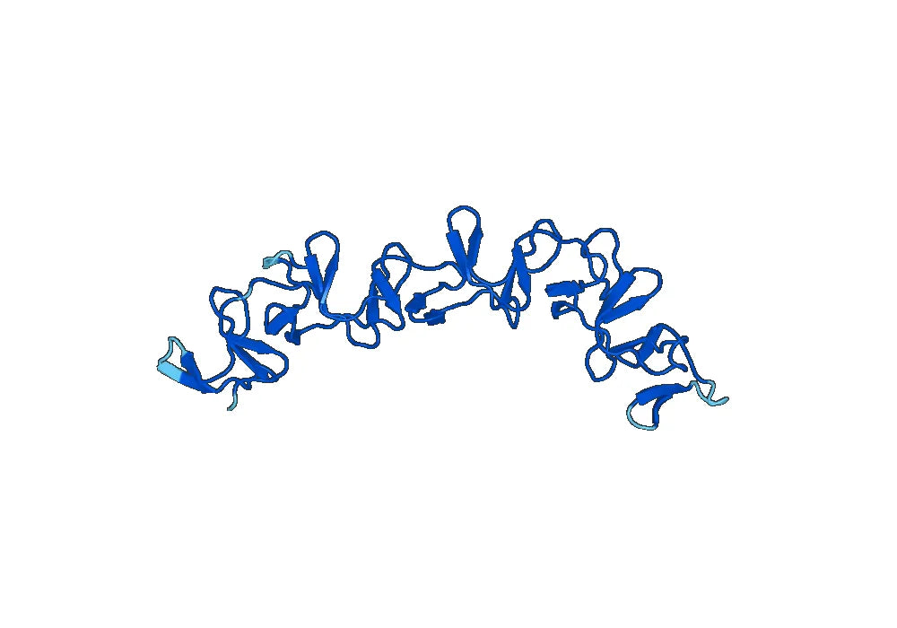 Recombinant Clostridioides difficile Toxin B/tcdB, N-His