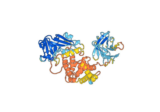 Recombinant Corynephage omega DT/Diphtheria toxin Protein, C-Strep