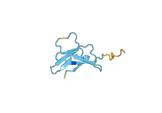 Recombinant DENV-1 Protein prM/prM Protein, N-GST & C-His