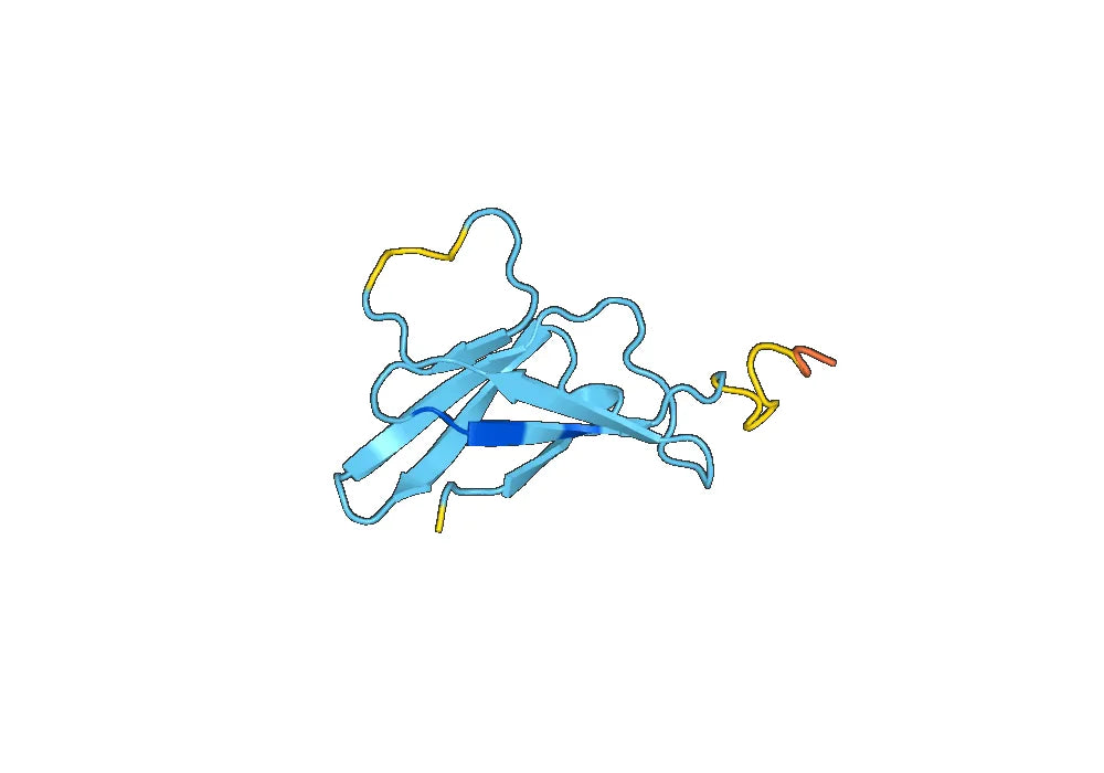 Recombinant DENV-3 Protein prM/prM Protein, N-GST & C-His