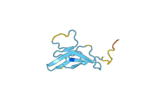 Recombinant DENV-4 Protein prM/prM Protein, N-GST & C-His