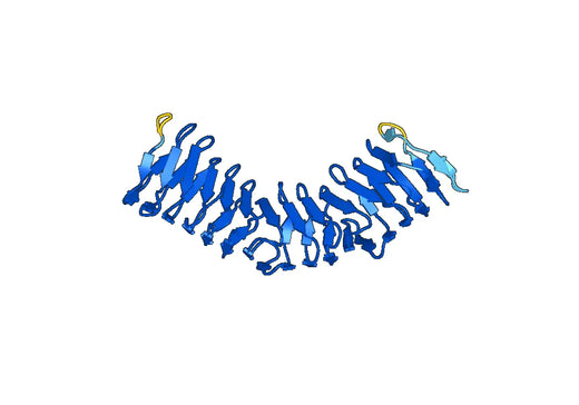 Recombinant E.coli flu/Antigen 43/AG43, N-His