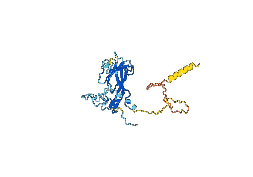 Recombinant EV71 VP1/Capsid protein VP1, N-His