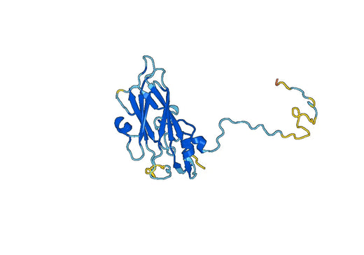 Recombinant EV71 VP3/Capsid protein VP3, N-GST