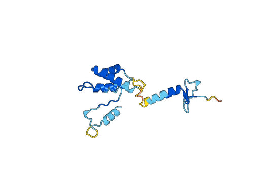 Recombinant Flavobacterium columnare clpX, N-His