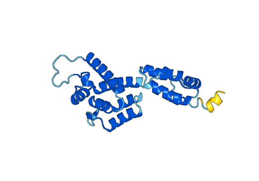 Recombinant HIV-1 p24/Capsid protein p24 Protein, N-His-SUMO