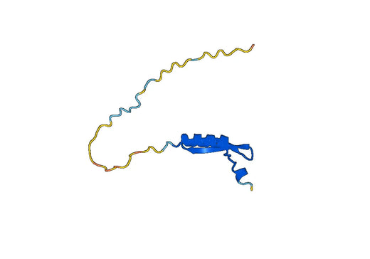 Recombinant HPV16 E7/Protein E7 Protein, N-His-SUMO & C-Strep