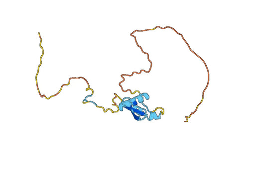 Recombinant Human A1CF, N-His