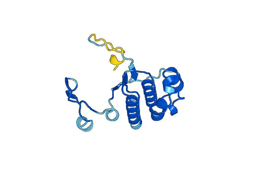 Recombinant Human ABCE1, N-His