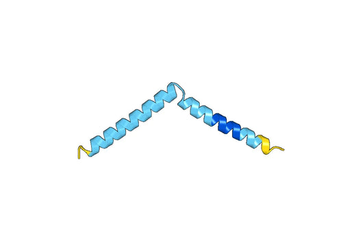 Recombinant Human ABLIM1 Protein, N-His-SUMO