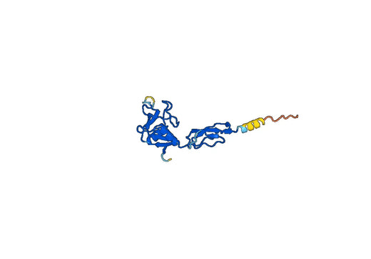 Recombinant Human ACAN Protein, N-His