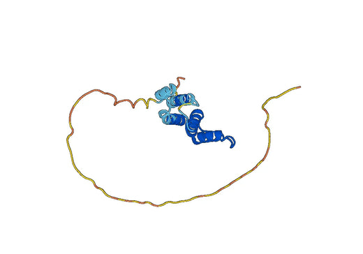 Recombinant Human ACBD5 Protein, N-His