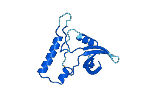 Recombinant Human ACVR1, N-GST