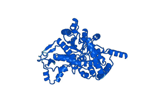 Recombinant Human ADA2, N-His