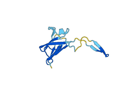 Recombinant Human ADAM15/MDC15 Protein, N-His-SUMO
