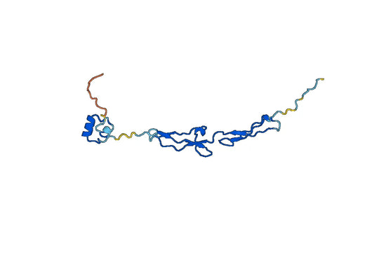 Recombinant Human ADAMTS7, N-His