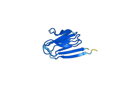 Recombinant Human ADAMTSL4 Protein, N-His